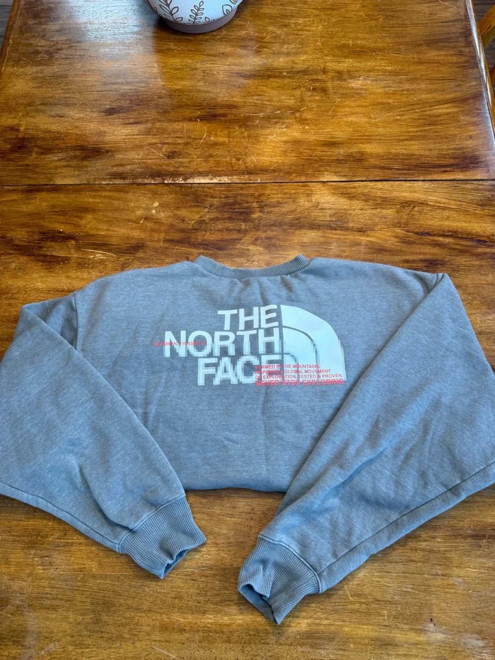 The North Face Men's Crewneck Sweatshirt in Light Gray with White Logo